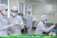 Trang Chủ KL99Com Số 1 Link Đăng Ký KL999 ngoại “trúng đậm” tại Kl991.com World Cup 2026 Chính Thức Việt 