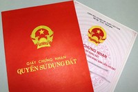 Ảnh Internet
