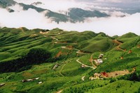 Ảnh Internet