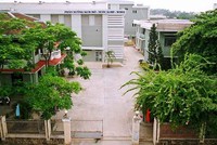 Ảnh Internet