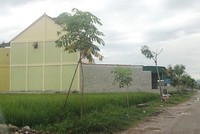 Ảnh Internet