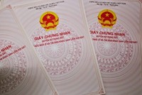 Ảnh Internet