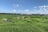 Nam Định: Cho thuê đất trái phép để lấy tiền xây nhà văn hóa, cán bộ thôn bị truy tố