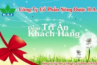 FLC đăng ký mua 2 triệu KL99 là cổng game giải trí trực tuyến hàng đầu hiện nay HAI