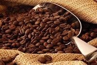 CTP: 9 tháng lãi 17,9 tỷ đồng Kl99 nổ hũ sau thuế