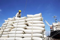 Gián đoạn nguồn cung lương thực do Covid-19, giá gạo tăng kỷ lục 7 năm