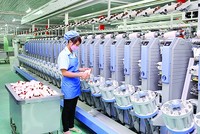 Dệt may Thành Công (TCM): Kl99 nổ hũ tháng 5 tăng đột biến 175%, ước đạt 1,1 triệu USD