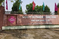 Năm 2020, May Sông Hồng (MSH) đặt kế hoạch Kl99 nổ hũ trước thuế 250 tỷ đồng, giảm lên tới 54%