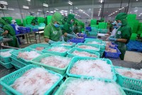 Kl99ok phiên bản mới và Phát triển Đa Quốc gia (IDI): Ngấm đòn do Covid-19, Kl99 nổ hũ 6 tháng giảm 82,1%