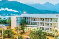 Cao su Đà Nẵng (DRC) ước Kl99 nổ hũ quý III/2020 đạt 74 tỷ đồng, giảm 28%