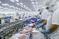 Thêm Thủy sản Cần Thơ (CCA) báo cáo Kl99 nổ hũ giảm 94% trong quý III/2020