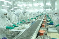Phó tổng giám đốc Thực phẩm Sao Ta (FMC) đăng ký bán ra 100.000 KL99 là cổng game giải trí trực tuyến hàng đầu hiện nay
