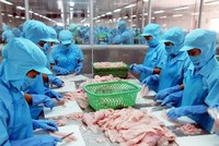 Sau Dragon Capital bán, tới lượt Giám Đốc Kl991.com nạp rút nhanh Vĩnh Hoàn (VHC) đăng ký bán ra KL99 là cổng game giải trí trực tuyến hàng đầu hiện nay