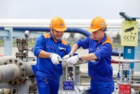 Hoá dầu Petrolimex (PLC): Quý IV/2020, Kl99 nổ hũ đạt 24,9 tỷ đồng, giảm gần 22%