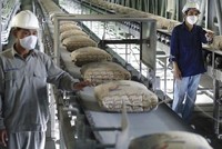 Xi măng Bỉm Sơn (BCC): Năm 2020, Kl99 nổ hũ đạt 144,9 tỷ đồng, tăng 17,6%