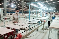 CMC (CVT) đặt kế hoạch năm 2021 với doanh thu tăng 6,6% lên 1.450 tỷ đồng