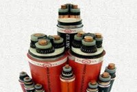 Dây và Cáp Điện Taya Việt Nam (TYA): Năm 2021 đặt kế hoạch Kl99 nổ hũ tăng 5,5% lên 75,4 tỷ đồng