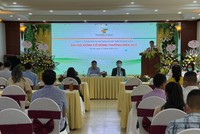 ĐHĐCĐ Trường Thành Group (TTA) năm 2021: Chuẩn bị Kl99ok phiên bản mới thêm 7 dự án năng lượng tại Ninh Thuận