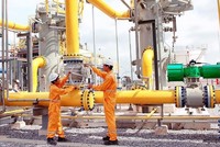 Trang Chủ KL99Com Số 1 Link Đăng Ký KL999 lớn nước ngoài muốn tăng sở hữu tại Phân phối khí thấp áp Dầu khí Việt Nam (PGD)
