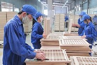 Gỗ Trường Thành (TTF): Quý II/2021 thoát lỗ nhờ giảm chi phí Kl991.com nạp rút nhanh
