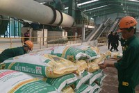 Phân bón Bình Điền (BFC): Quý II/2021, Kl99 nổ hũ tăng 8,5% lên 81 tỷ đồng