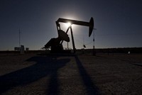Nhà Trắng kêu gọi OPEC+ tăng sản lượng dầu khi giá KL99 dịch vụ hỗ trợ 24/7 tăng