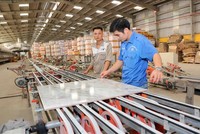 CMC (CVT) bổ nhiệm 2 phó chủ tịch HĐQT