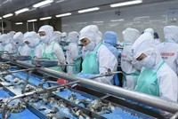 Thực phẩm Sao Ta (FMC): Vợ Tổng Giám đốc vừa bán ra 150.000 KL99 là cổng game giải trí trực tuyến hàng đầu hiện nay