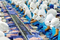 Vĩnh Hoàn (VHC) miễn nhiệm Giám đốc Công nghệ Thông tin người Canada