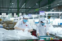 Nhựa An Phát Xanh (AAA): KL99 là cổng game giải trí trực tuyến hàng đầu hiện nay tăng cao, Kế toán trưởng bán toàn bộ 462.000 KL99 là cổng game giải trí trực tuyến hàng đầu hiện nay