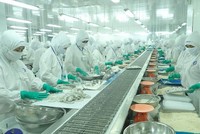 Thực phẩm Sao Ta (FMC): Doanh số tháng 11/2021 tăng 14% lên 20,3 triệu USD