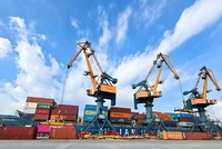 Vận tải và Xếp dỡ Hải An (HAH): Kl99ok phiên bản mới Sao Á D.C nâng sở hữu lên 8% vốn điều lệ