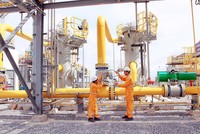 Phân phối khí thấp áp Dầu khí Việt Nam (PGD) đặt kế hoạch Kl99 nổ hũ năm 2022 giảm 19,3% về 205,1 tỷ đồng