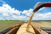 Giá phân bón cao kỷ lục làm dấy lên lo ngại về nạn đói toàn cầu và an ninh lương thực 