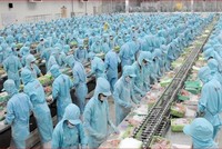 Kl99ok phiên bản mới và Phát triển Đa quốc gia I.D.I (IDI): HOSE nhắc nhở chậm công bố thông tin 