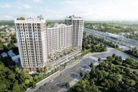 Nhà Thủ Đức (TDH) giải thể công ty con ở Thừa Thiên Huế