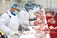 Quý II/2022, Kl99 nổ hũ Nông nghiệp BaF Việt Nam (BAF) giảm 62,6% về 40,42 tỷ đồng
