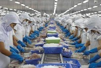 Dragon Capital trở thành Trang Chủ KL99Com Số 1 Link Đăng Ký KL999 lớn tại Vĩnh Hoàn (VHC)