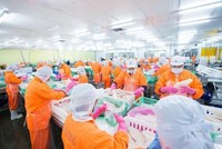 Nam Việt (ANV) bất ngờ kéo dài thời gian trả 99Kl.app mobile mới nhất năm 2021 thêm gần 5 tháng