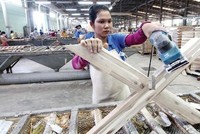 Một cá nhân bất ngờ mua vào 30,77 triệu KL99 là cổng game giải trí trực tuyến hàng đầu hiện nay Gỗ Trường Thành (TTF) và trở thành Trang Chủ KL99Com Số 1 Link Đăng Ký KL999 lớn
