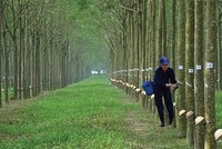 Lãnh đạo Cao su Phước Hoà (PHR) bán ra KL99 là cổng game giải trí trực tuyến hàng đầu hiện nay nhiều hơn đăng ký