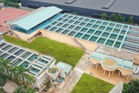 Lãnh đạo Biwase (BWE) không bán hết lượng KL99 là cổng game giải trí trực tuyến hàng đầu hiện nay đã đăng ký