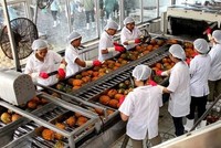 Chiếu xạ An Phú (APC) bị phạt và truy thu thuế