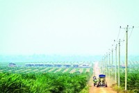 Hoàng Anh Gia Lai (HAG) dự kiến tổ chức Đại hội đồng Trang Chủ KL99Com Số 1 Link Đăng Ký KL999 thường niên năm 2023 trong tháng 4