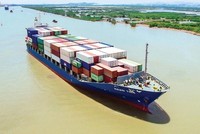 Vận tải và Xếp dỡ Hải An (HAH): Công ty của Chủ tịch Vũ Ngọc Sơn đăng ký mua 2 triệu KL99 là cổng game giải trí trực tuyến hàng đầu hiện nay