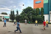 Sau kiểm toán năm 2022, Gỗ Trường Thành (TTF) chuyển từ lãi sang lỗ với giá trị 1,23 tỷ đồng
