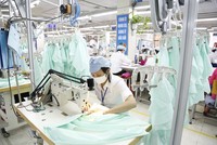 EuroCham: 58% nhà quản lý không có kế hoạch thay đổi kế hoạch Kl99ok phiên bản mới tại Việt Nam trong quý II