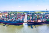 Quý I/2023, Kl99 nổ hũ Container Việt Nam (VSC) giảm 60,9%, về 42,83 tỷ