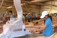 Phú Tài (PTB) nói gì về khách hàng Noble House đệ đơn xin bảo hộ phá sản
