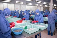 Thực phẩm Sao Ta (FMC) điều chỉnh giảm 25% kế hoạch Kl99 nổ hũ năm 2023, về 300 tỷ đồng